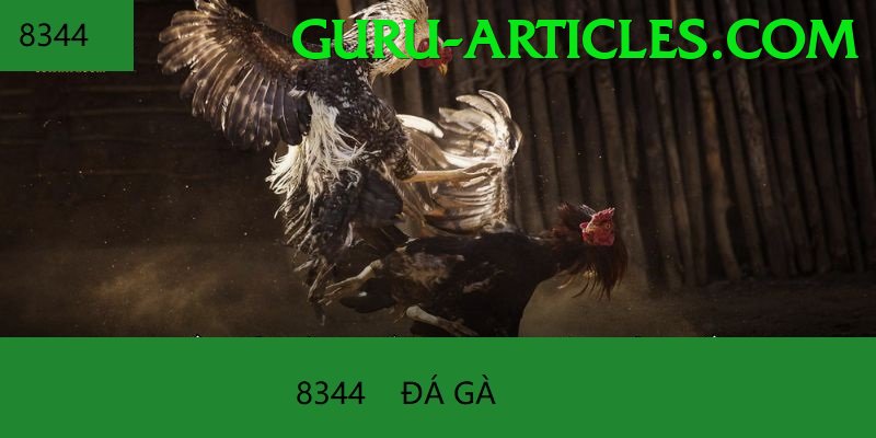 Đá Gà Trực Tiếp - Trải nghiệm tuyệt vời